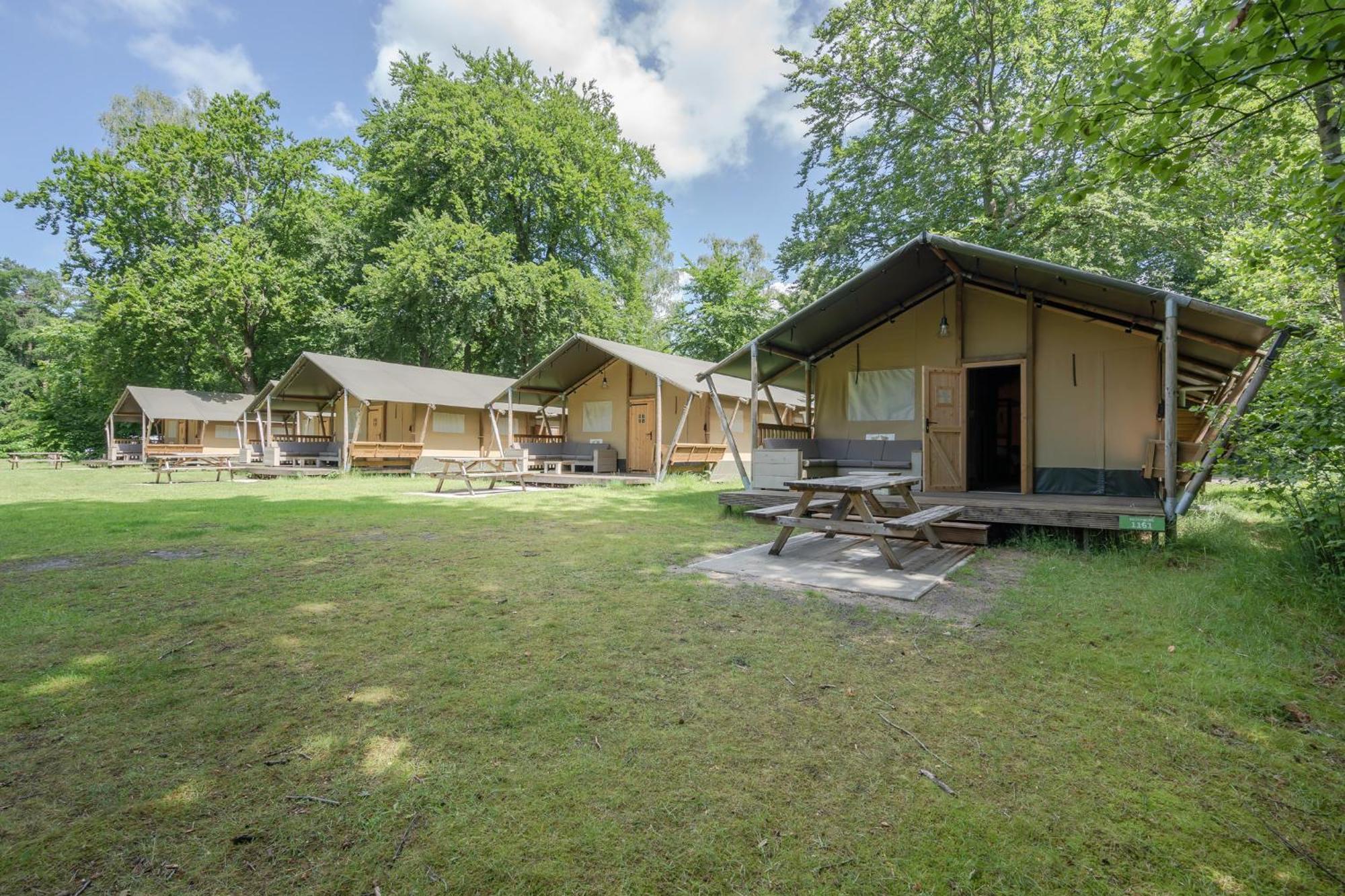 Rcn Het Grote Bos Hotel Доорн Стая снимка